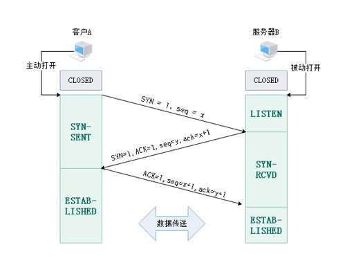 计算机网络技术 网络协议与体系结构解析