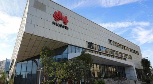 欧洲5G棋局 华为法国工厂的落子与妥协